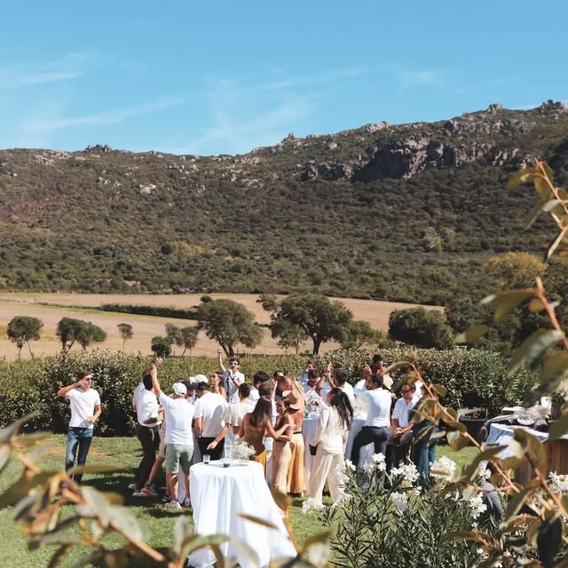 Cérémonie de mariage en plein air dans une oliveraie corse